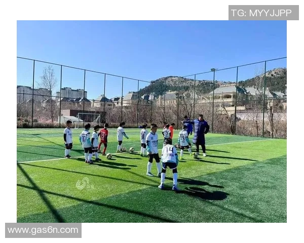 足球明星谢羽的精彩瞬间展现了他在绿茵场上的无限魅力与风采