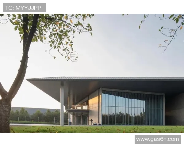 探索弗格的世界：从历史到现代的多维视角与深度解析